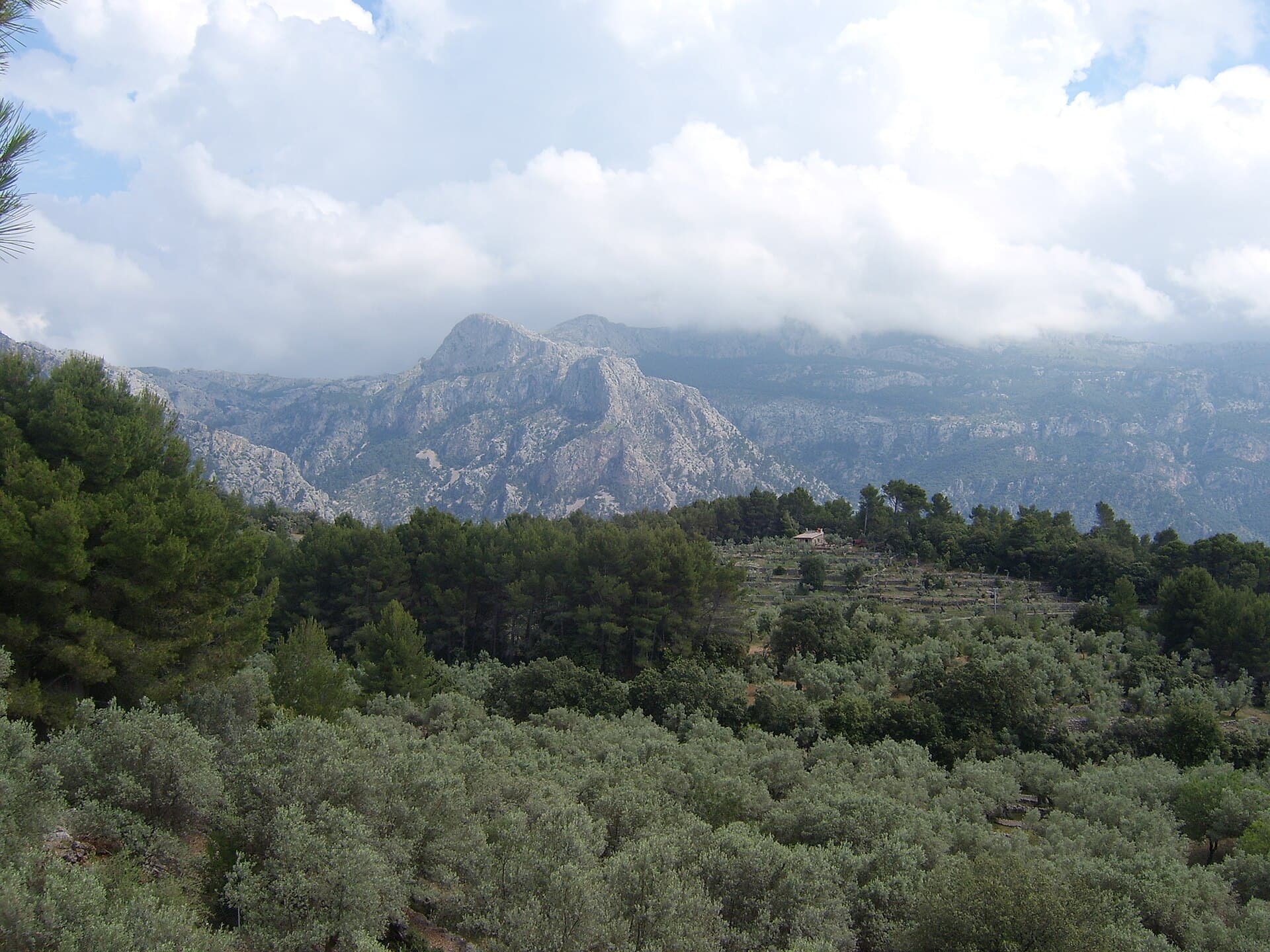 Puerto de Palma de Mallorca — foto 2